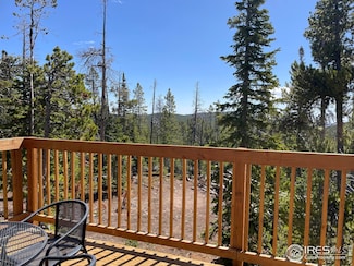 0 Forest Service 169 Rd Unit Parcel 3 1034255, Red Feather Lakes, CO 80545