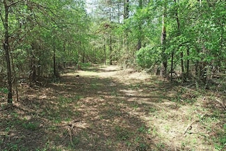 0 Phillips Rd E, Moselle, MS 39459