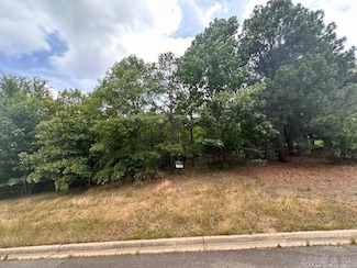 244 Oak Shores Cir, Hot Springs, AR 71913