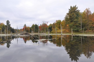 0 Bingo Rd, Edwards, NY 13635
