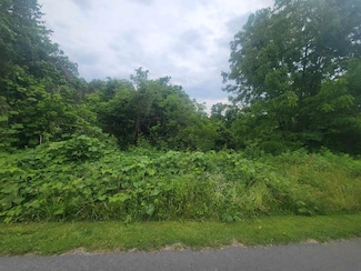 TBD Charity Rd, Doran, VA 24639