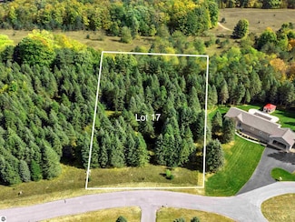 Lot 17 Lipp Farm Rd, Benzonia Township, MI 49616