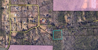 0 City Pond Rd Unit 10476135, Oxford, GA 30054