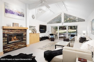 625 S West End St Unit 8, Aspen, CO 81611