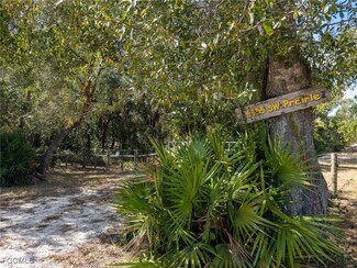 8355 SW Prairie Ave, Arcadia, FL 34269