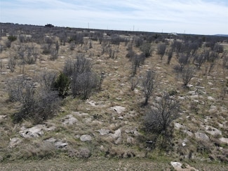 55 the Dunes Dr, Graford, TX 76449