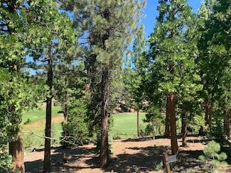 2066 Grizzly Ranch Rd, Beckwourth, CA 96122