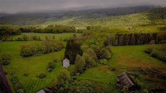 187 Hahn Rd, Livingston Manor, NY 12758