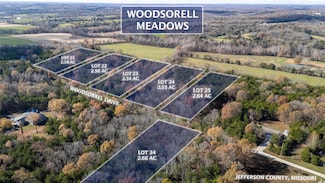 449 Woodsorrel Dr, Hillsboro, MO 63050