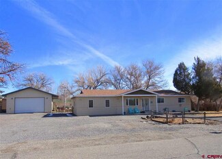 12458 E Spring Cir, Eckert, CO 81418