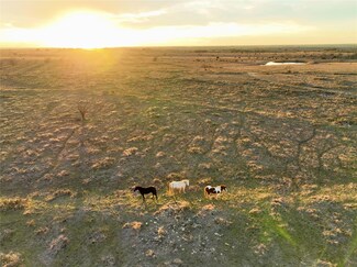 000 Fm 963, Bertram, TX 78605