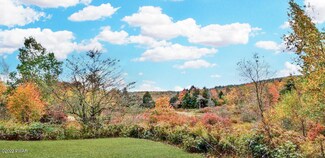 0 Beaver Hollow Rd, Starrucca, PA 18462