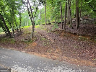 0 Edgewater Dr Unit 10545461, Ellijay, GA 30540