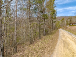 TBDLOTS1214 Lake Forest Ln, Bland, VA 24315