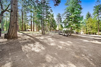 0 Pine Ridge Rd Unit SW25029303, Idyllwild, CA 92549