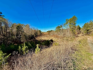 Lot 16 Chestnut Dr, Harleton, TX 75651