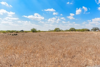 2853 Farm To Market Road 1333, Poteet, TX 78065