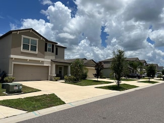 14621 Dunrobin Dr, Wimauma, FL 33598