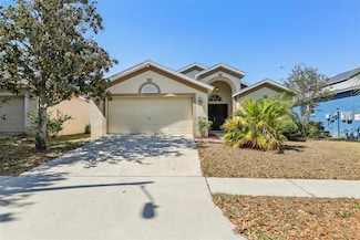1333 Dragon Head Dr, Valrico, FL 33594