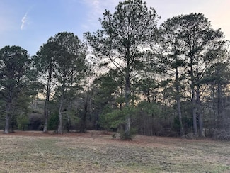 0 County Road 15 Unit 22416460, Wedowee, AL 36278