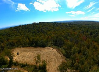 0 S Line Rd Unit 202213844, Middle Grove, NY 12850