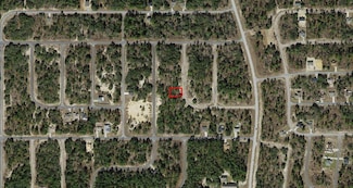 6682 N Sand Dr, Pine Ridge, FL 34433