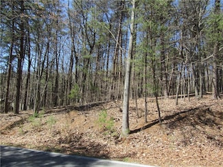 14 Yanegwa Path, Dawsonville, GA 30534