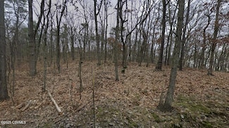 24 Welsh Rd, Mahoning Township, PA 17821