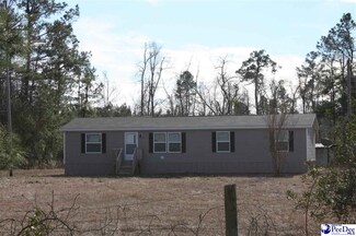 974 Boling Rd, Pamplico, SC 29583