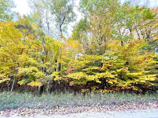 Lot 16 Trout Creek Rd, Inverness Township, MI 49721