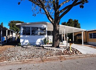 113 Jason Dr, Valrico, FL 33594