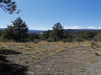 598 Skyline Dr, South Fork, CO 81154