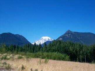 154 Burl Ln, Packwood, WA 98361