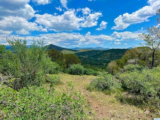 2XX Xyz Ranch Rd, Silver City, NM 88061