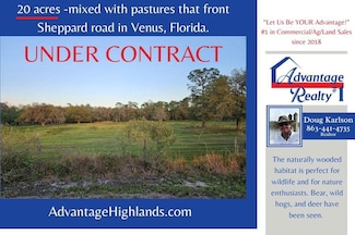 463 Sheppard Rd, Venus, FL 33960