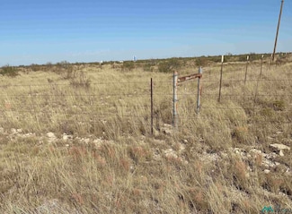 0 S Gill Rd, Lovington, NM 88260