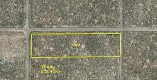 0 W Thorn Ln Unit TL 900 220198970, Christmasvalley, OR 97641
