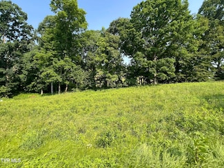 00 Jackson Rd Unit Lot 12, Jonesborough, TN 37659