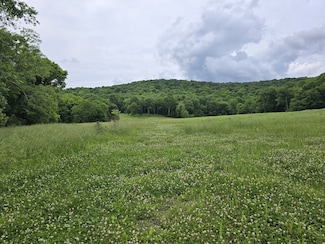 3104 Swindell Hollow Rd, Lebanon, TN 37090