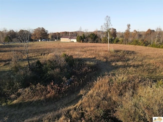 100 Tudy Ridge Rd, Science Hill, KY 42553