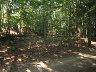 0 Railroad Ave Unit 17018047, Pentwater, MI 49449