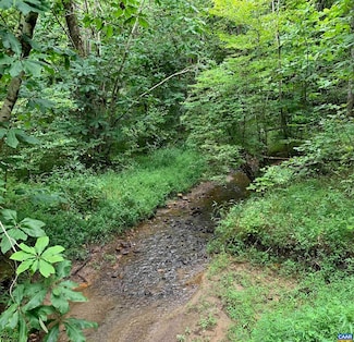 89 ac Glade Rd, Lovingston, VA 22949