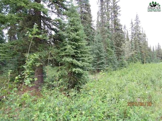 L49 Sandstone St, Delta Junction, AK 99737