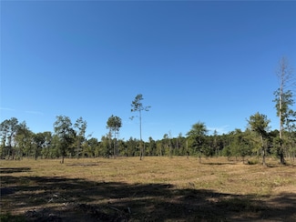 1795 Farm To Market 787, Cleveland, TX 77327