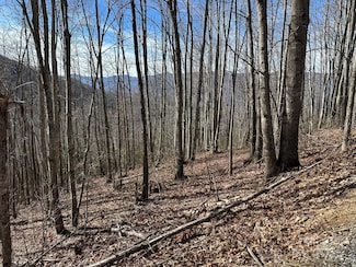 LT 262 Tote Rd Unit 262, Sylva, NC 28779