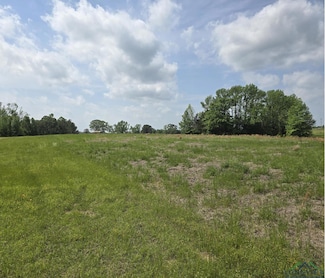 TBD County Road 4214, Naples, TX 75568