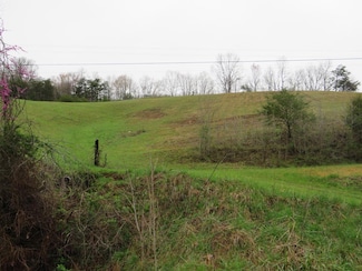 0 Ky Route 580 Unit 124885, Staffordsville, KY 41256