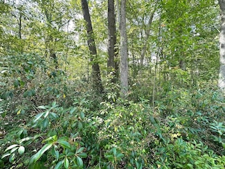 Lot 70 Pine Dr, Terra Alta, WV 26764