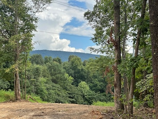 Tract 4 County Road 897, Etowah, TN 37331