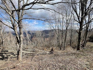 39 Ridge Top Circle Rd, Clyde, NC 28721